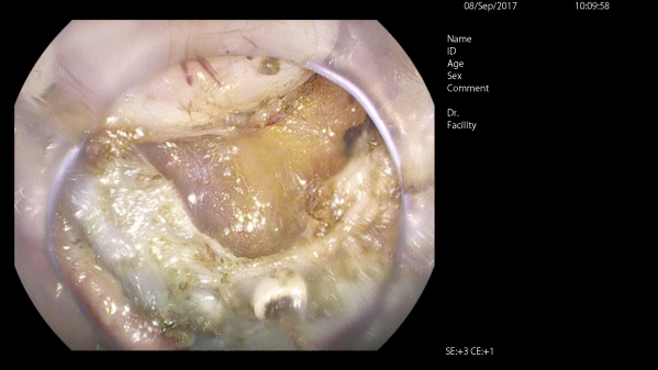 image013.png