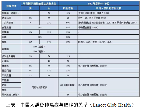 肥胖1.png