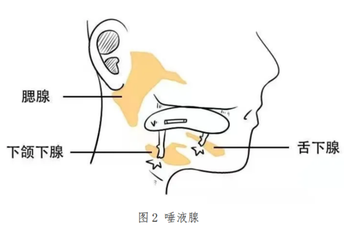 12.png