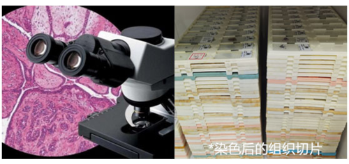 微信图片_20220407140600.png