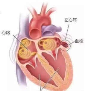 微信图片_20220411081455.png