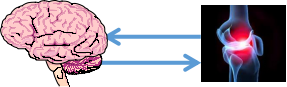 12.png