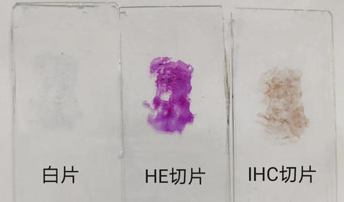 微信图片_20220523091421.png