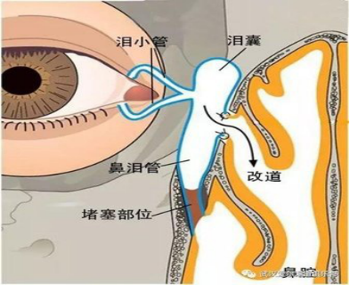 微信图片_20220613150947.png