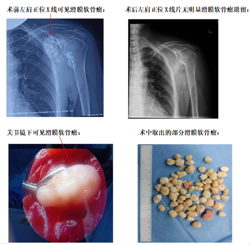 微信图片_20221017104312.png