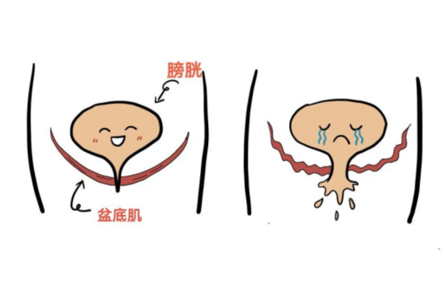 微信图片_20230506085527.png