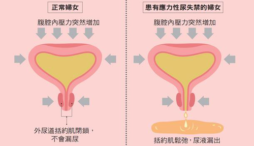 微信图片_20230506085555.png