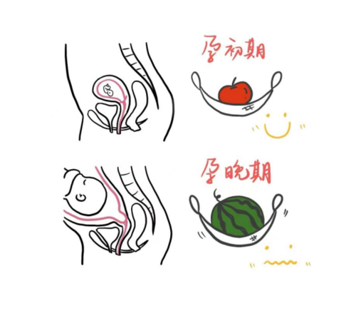 微信图片_20230506090010.png