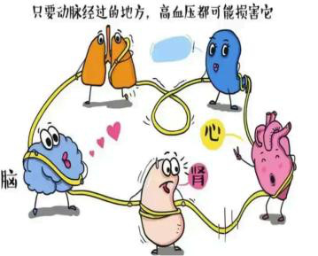 高血压4.jpg